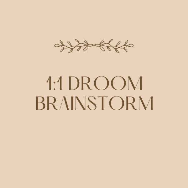 1:1 Droom Brainstorm